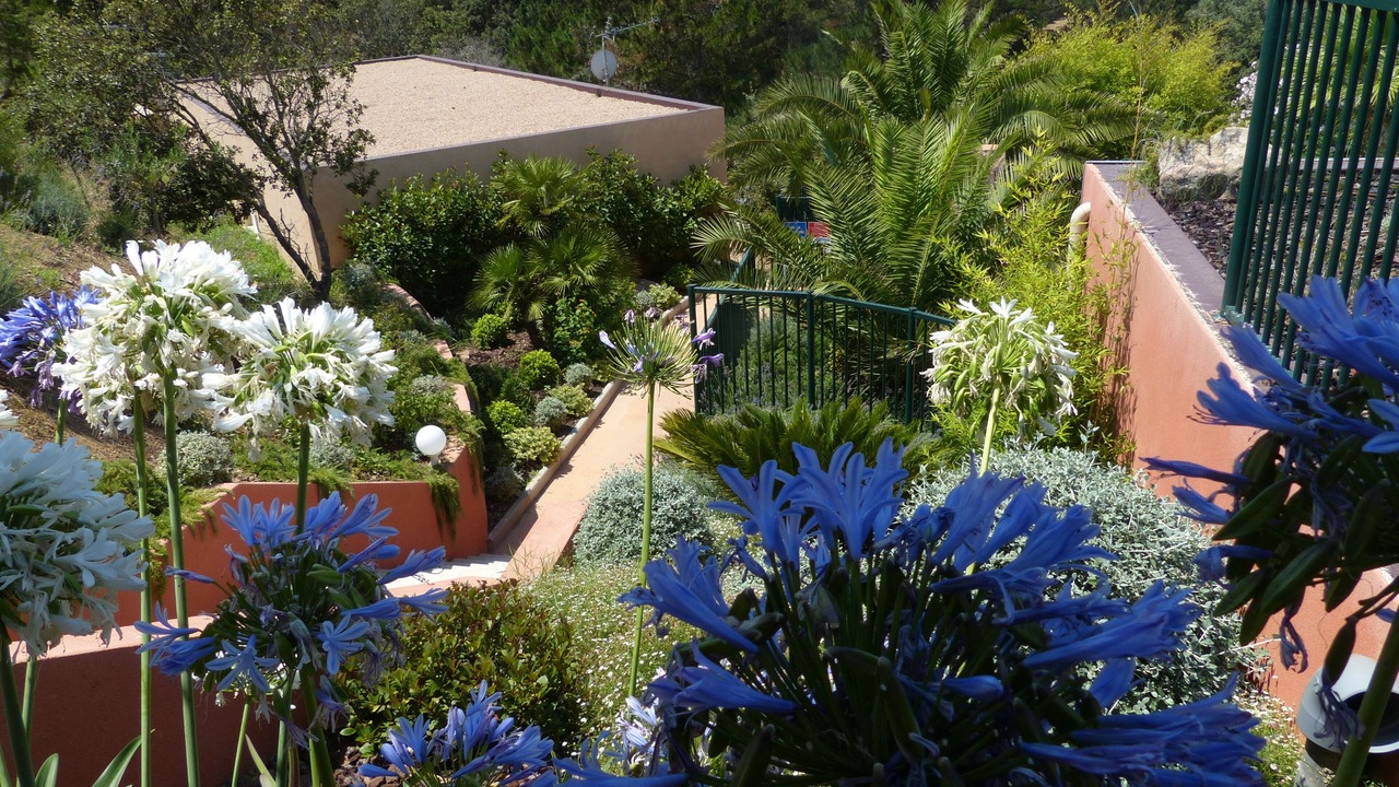 Photo of Outdoor in Sartene