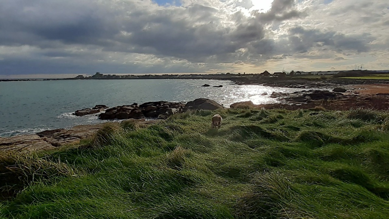 Photo of Outdoor in Barfleur