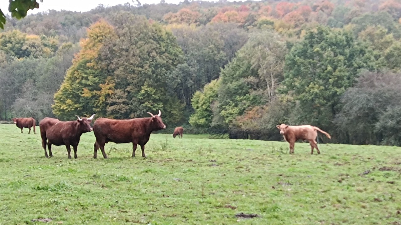Photo of Others in La Neuville-aux-Joutes