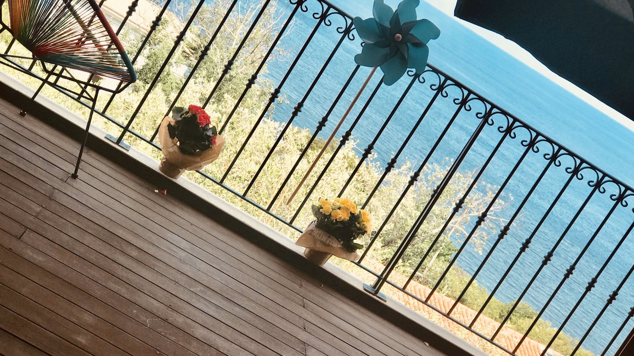 Photo of Patio Balcony in San-Martino-di-Lota