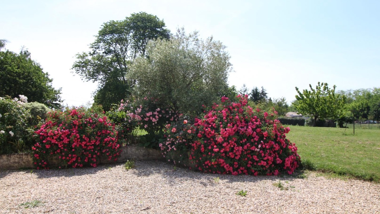 Photo of Outdoor in Daignac