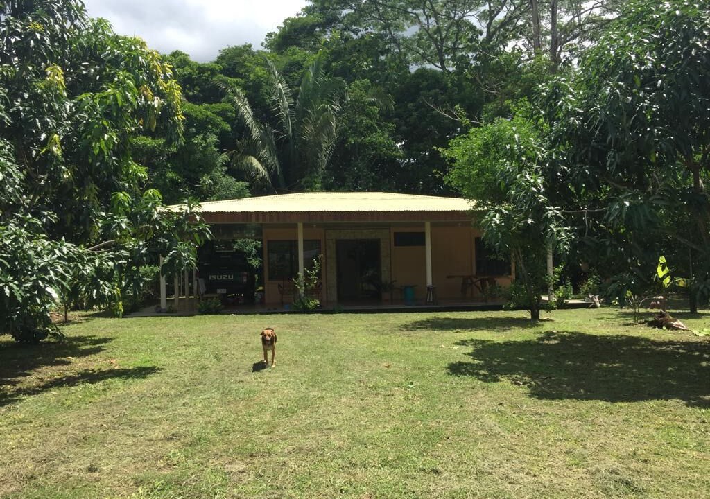 Photo of Outdoor in Pacuare Reserve