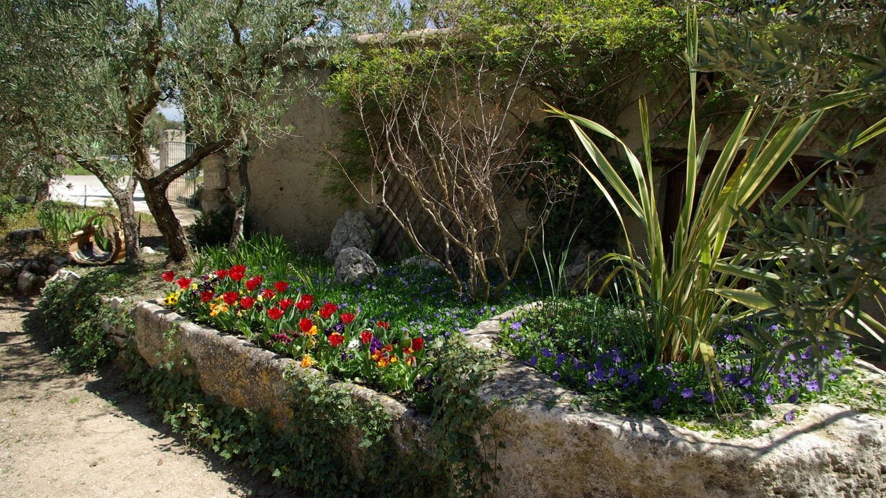 Photo of Outdoor in Eygalieres
