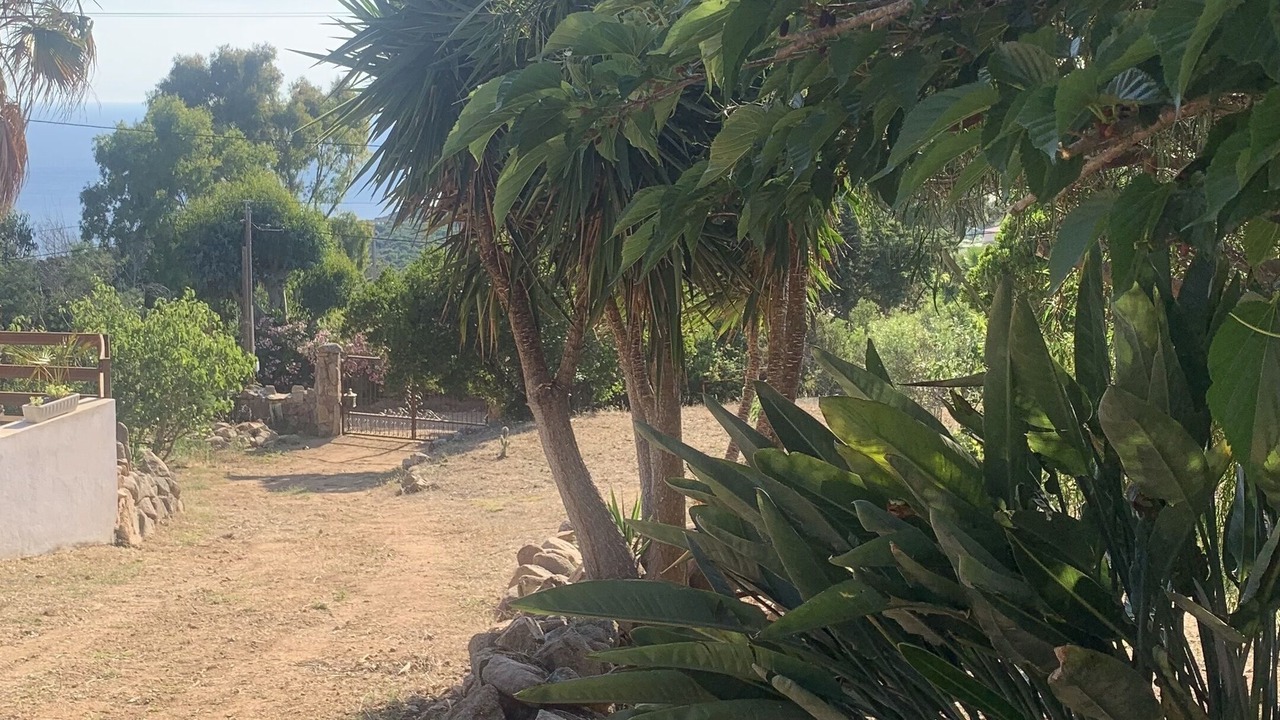 Photo of Outdoor in Coti-Chiavari