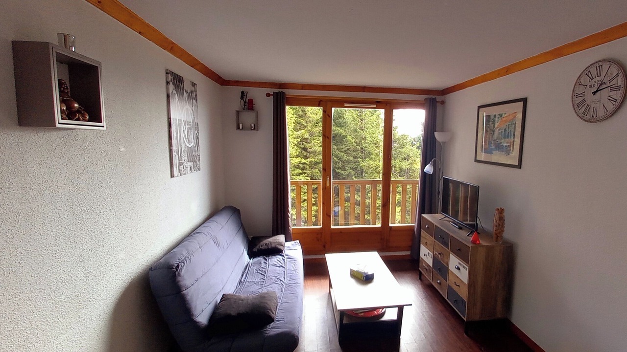 Photo of Livingroom in Besse-et-Saint-Anastaise