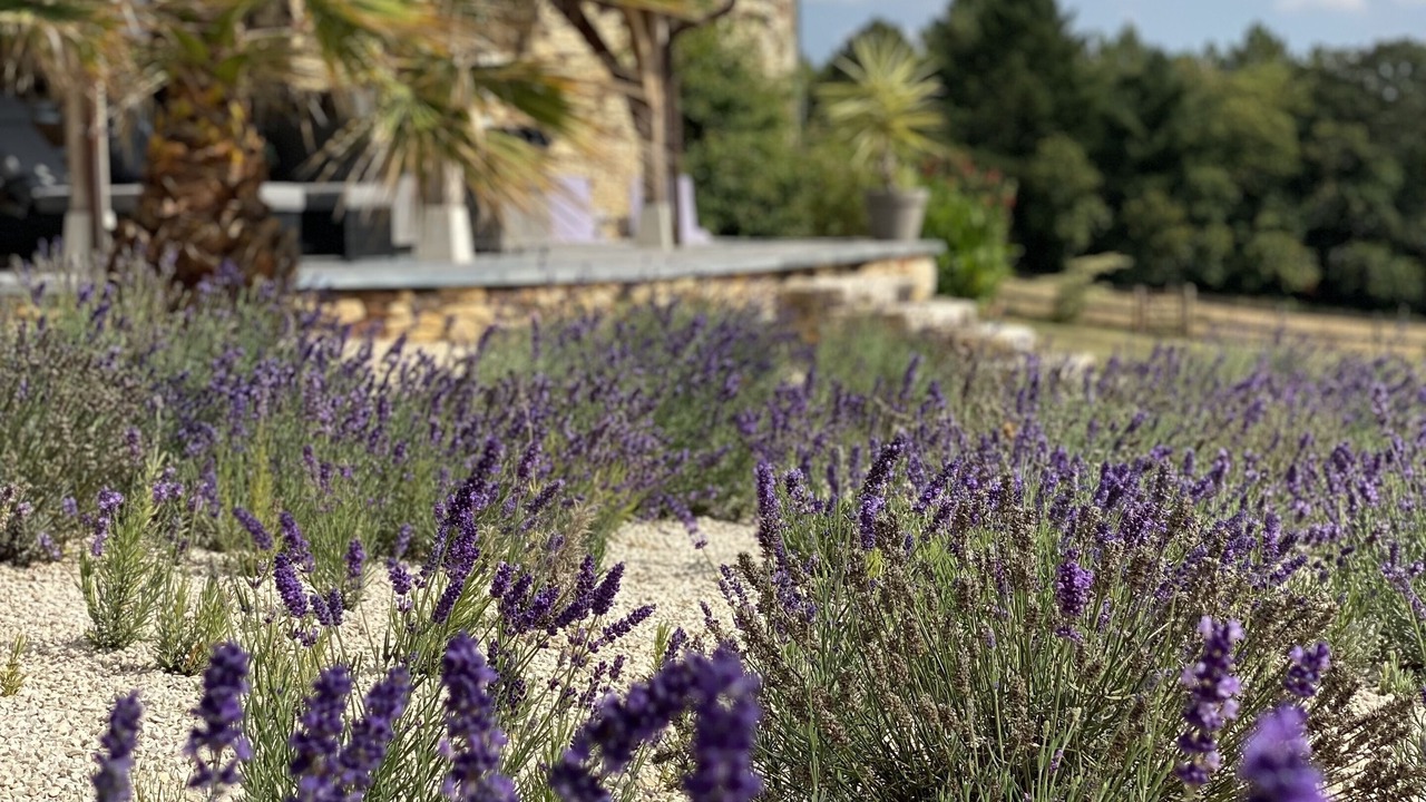 Photo of Outdoor in Sauveterre-la-Lemance