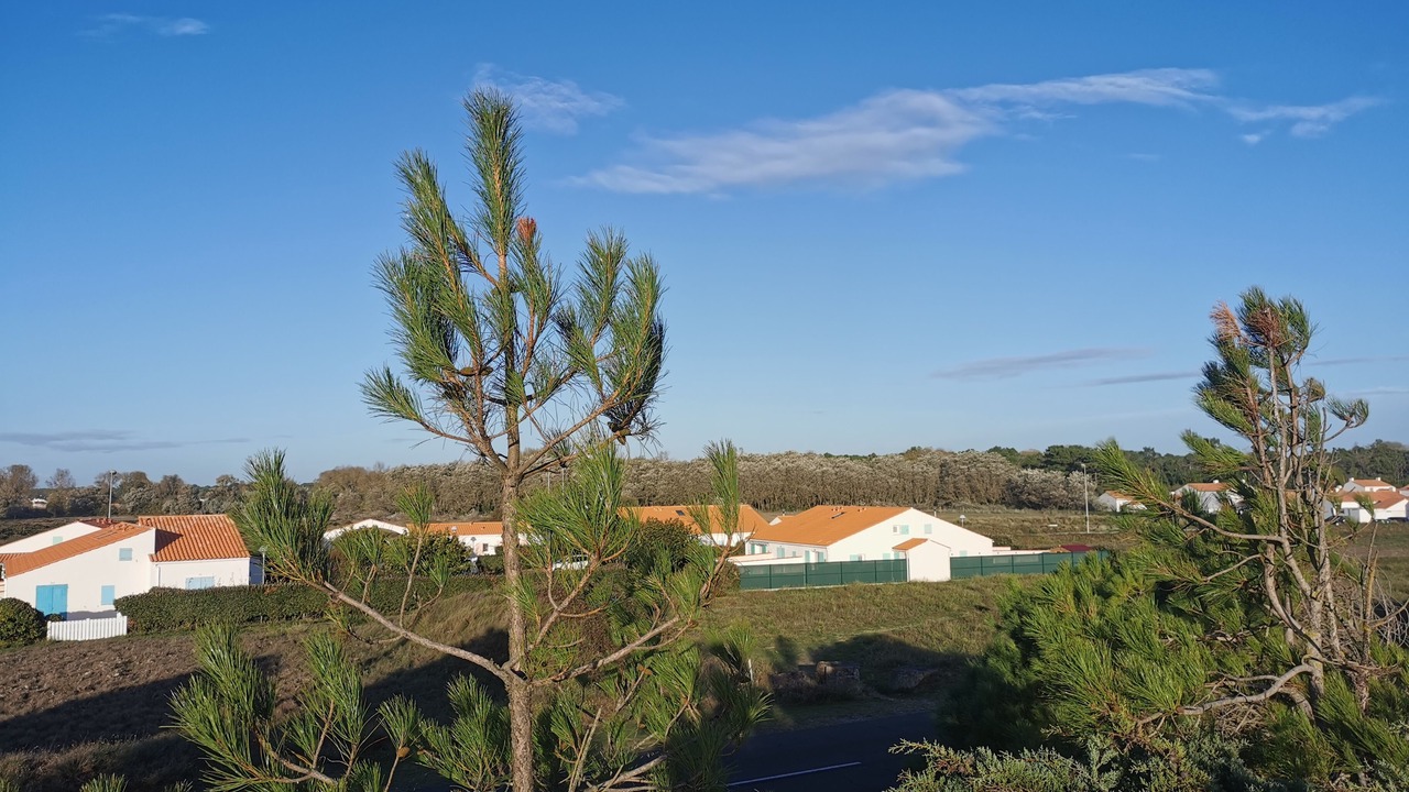 Photo of Outdoor in Saint-Hilaire-de-Riez