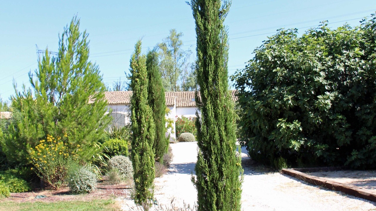 Photo of Outdoor in Eyragues