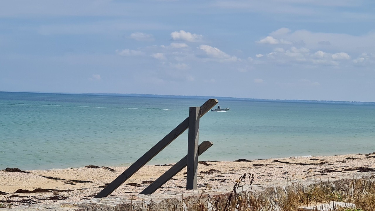 Photo of Others in Cotentin Peninsula