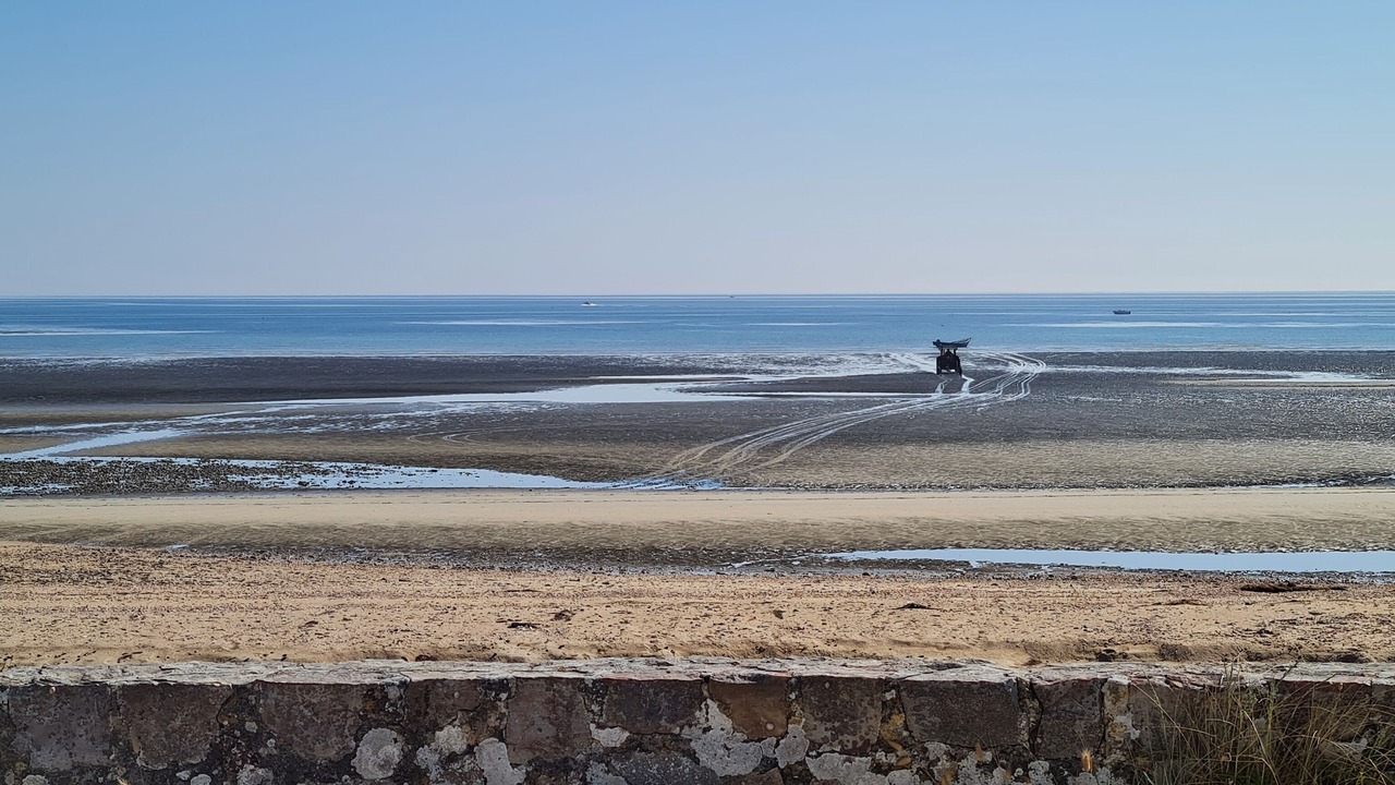 Photo of Others in Cotentin Peninsula