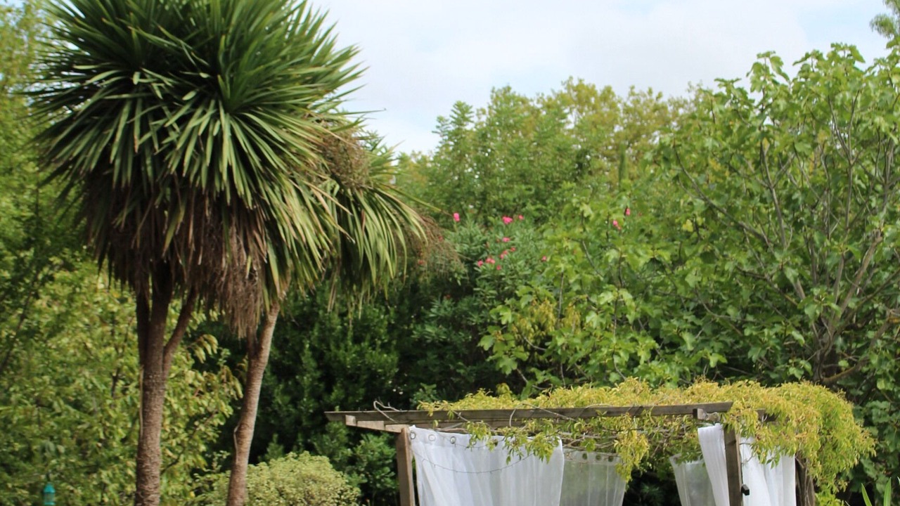 Photo of Outdoor in Canet