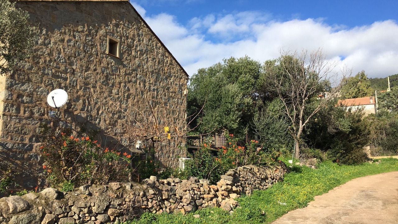 Photo of Outdoor in Monacia-d'Aullene