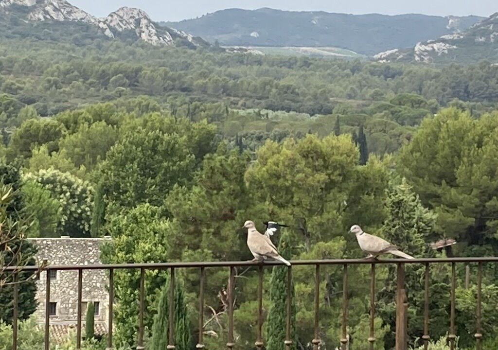 Photo of Patio Balcony in Eygalieres