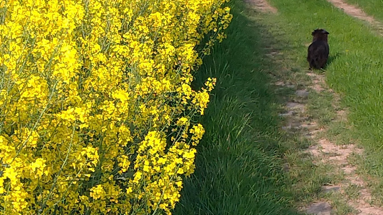 Photo of Outdoor in Lor