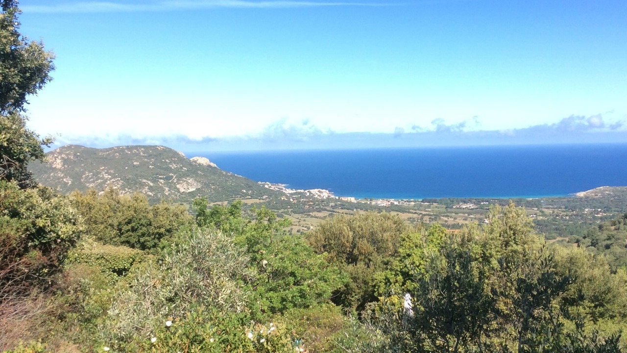Photo of Others in Aregno