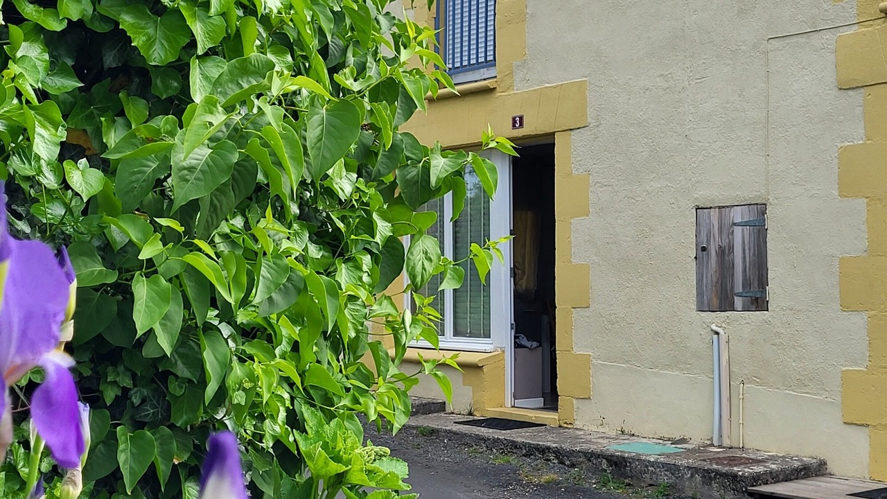 Photo of Outdoor in Salignac-Eyvignes