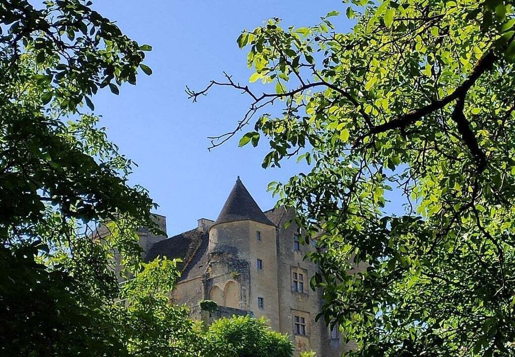 Photo of Outdoor in Salignac-Eyvignes