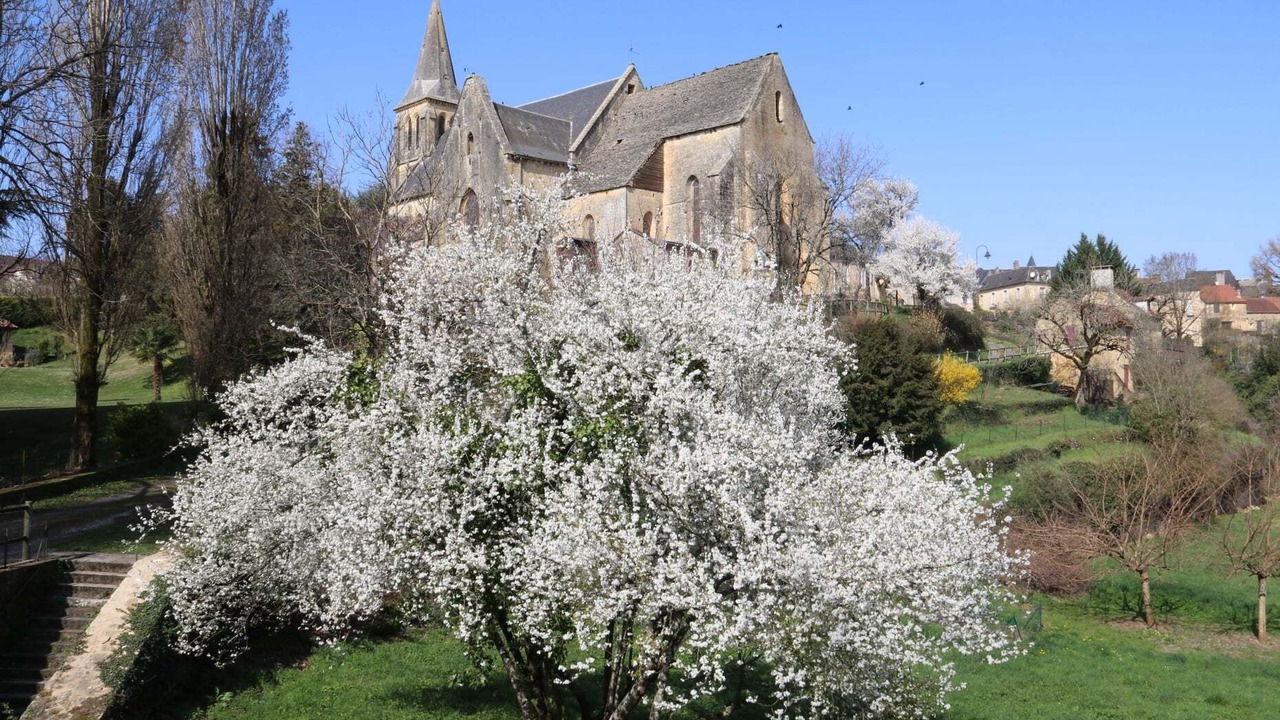 Photo of Outdoor in Salignac-Eyvignes