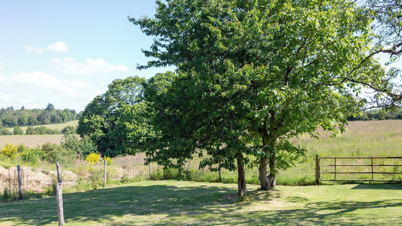 Photo of Outdoor in Meslan