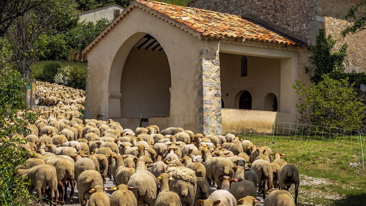 Photo of Others in Rougon