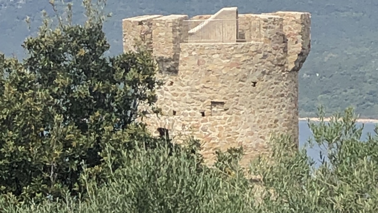 Photo of Others in Porto Pollo