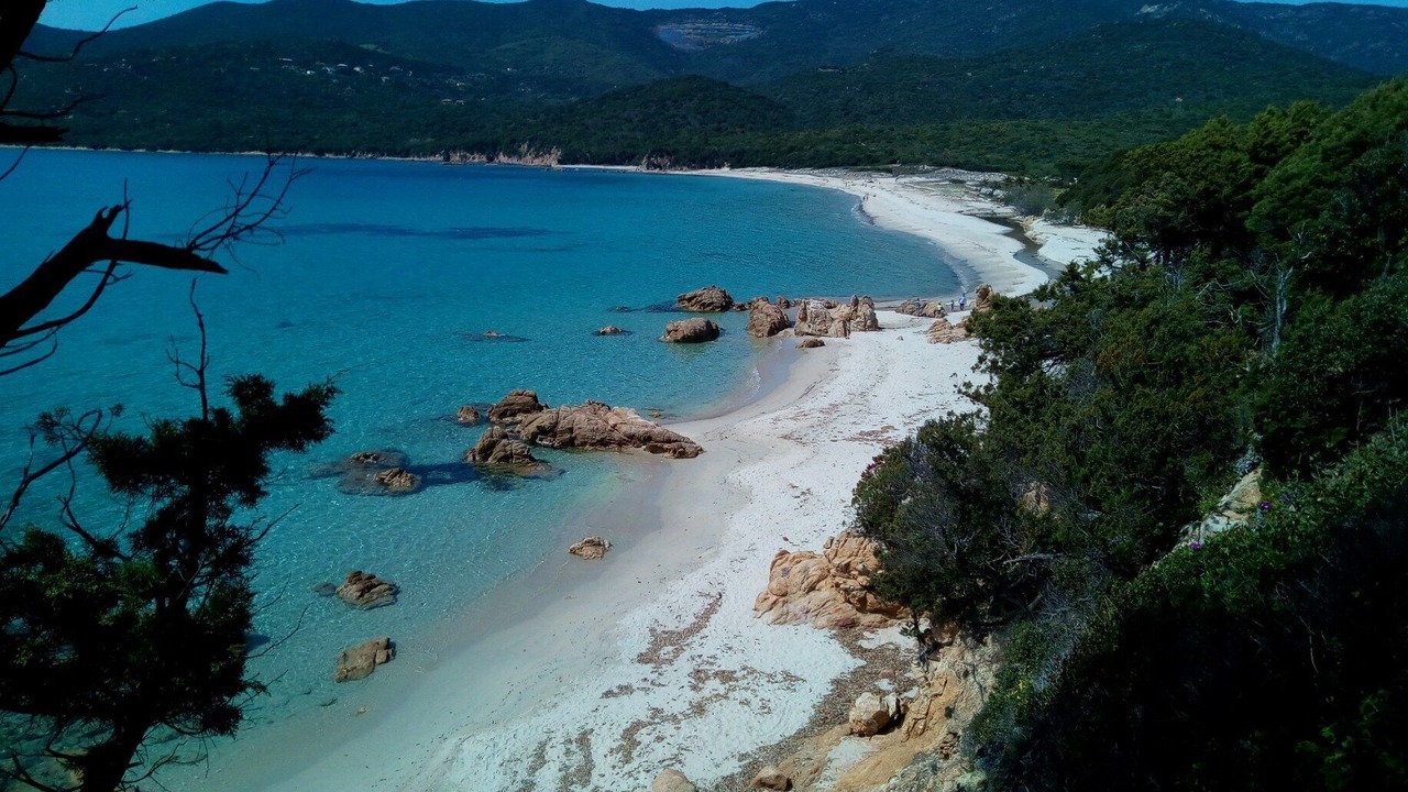Photo of Others in Porto Pollo