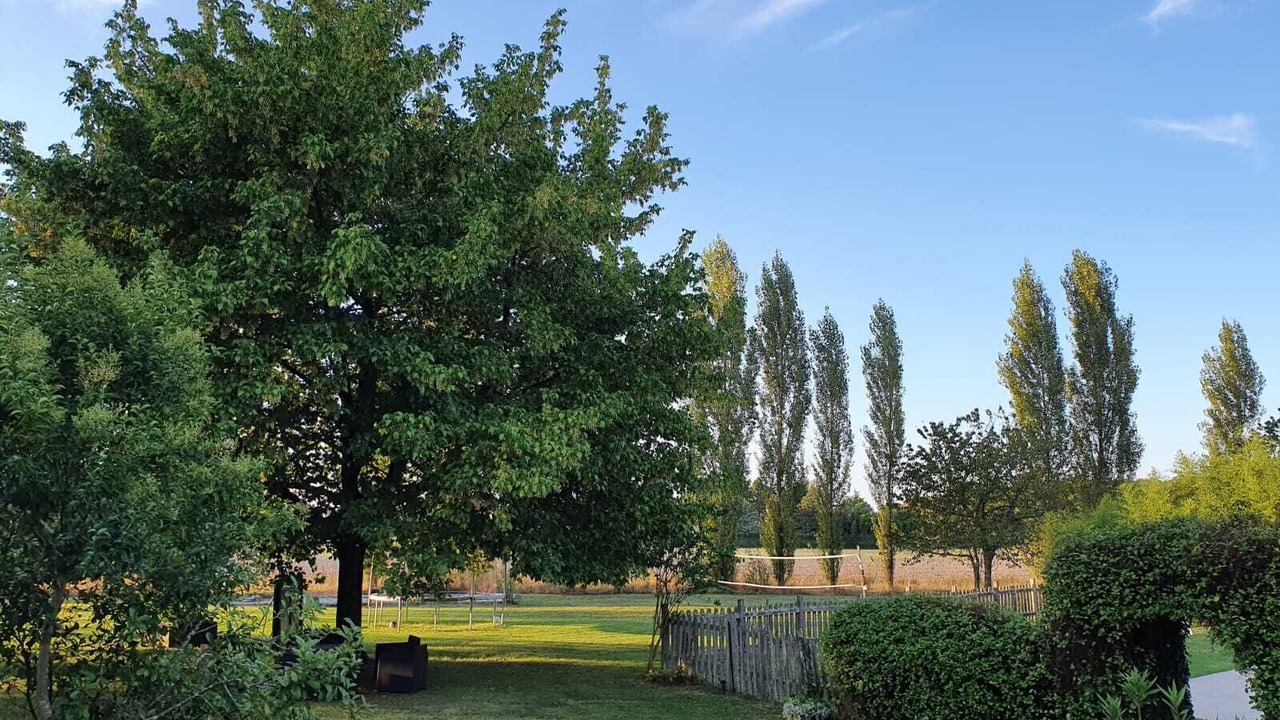 Photo of Outdoor in Chaunac