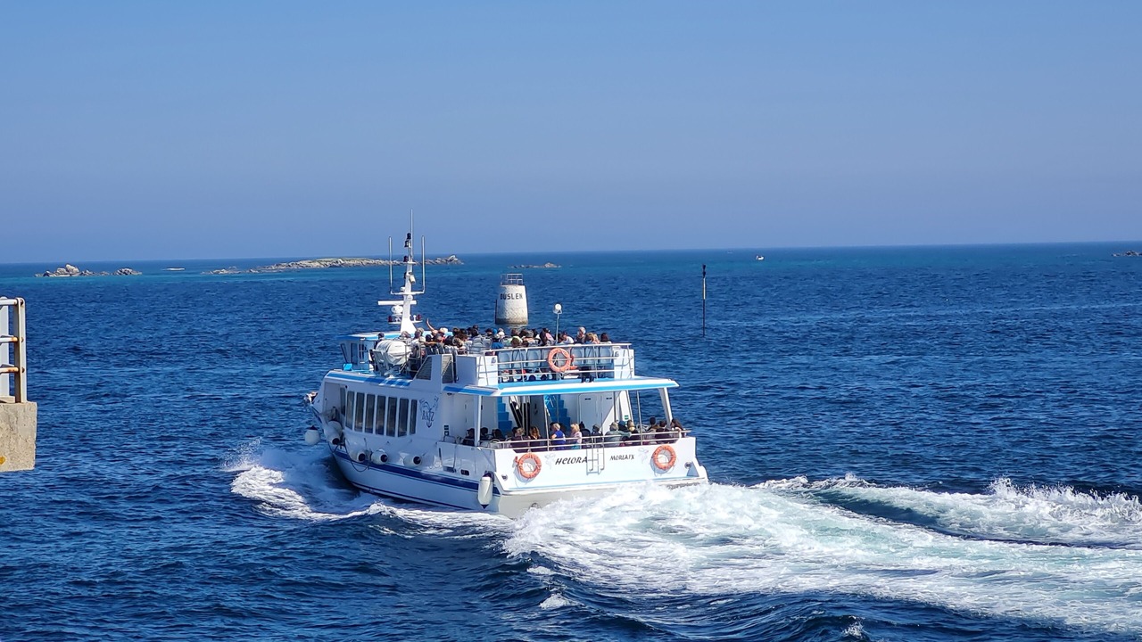 Photo of Others in Roscoff