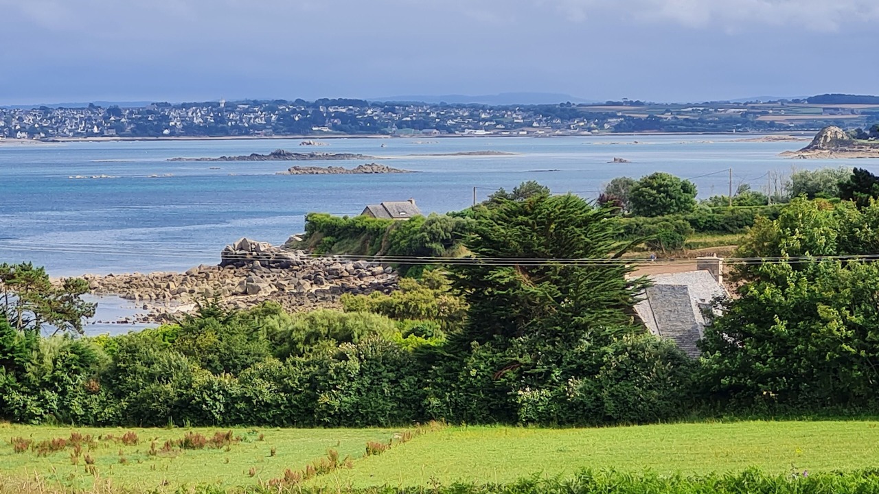 Photo of Others in Roscoff