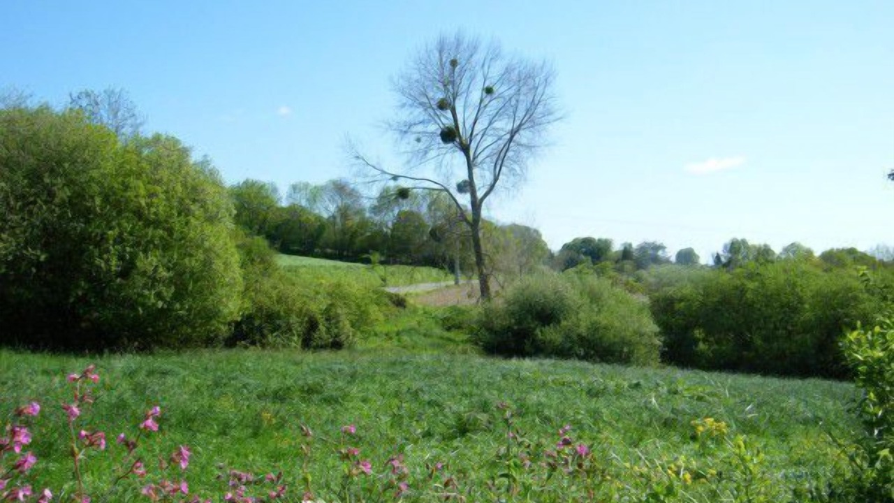 Photo of Outdoor in Plestin-les-Greves
