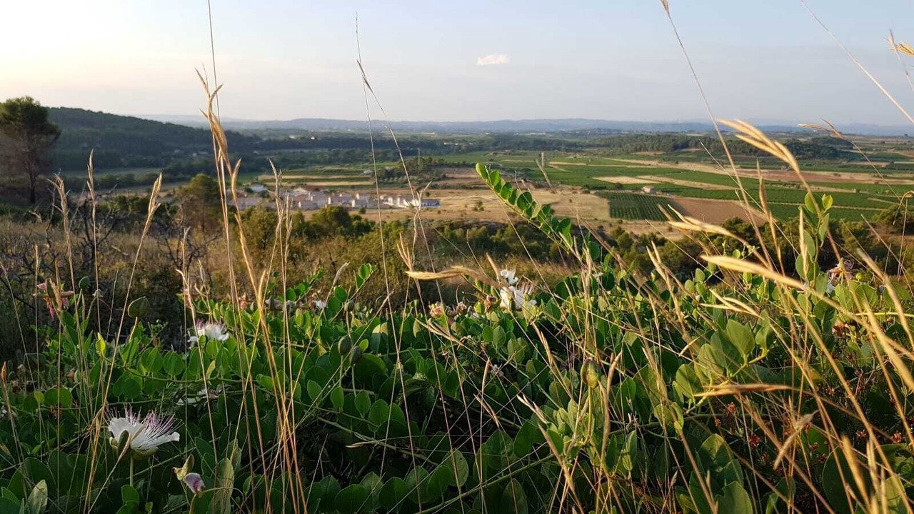 Photo of Outdoor in Bize-Minervois
