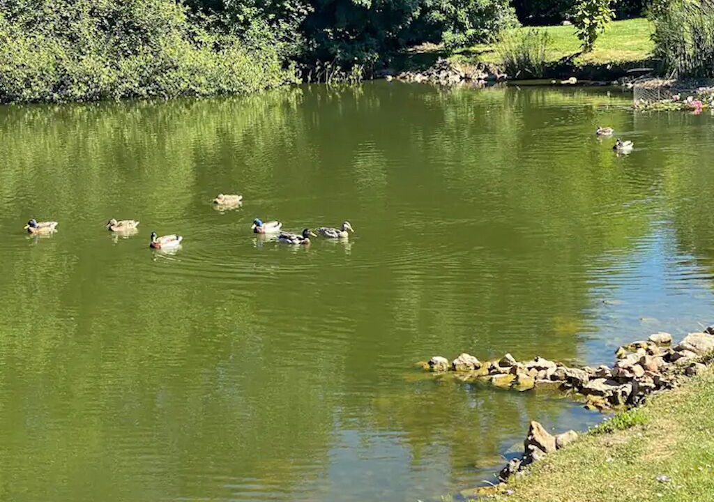 Photo of Outdoor in Savigny-Levescault