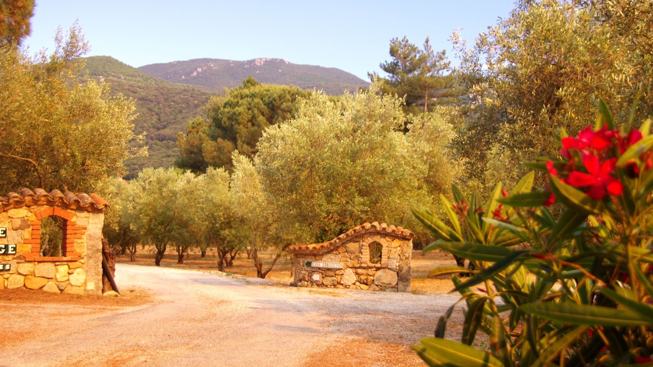 Photo of Outdoor in Sartene