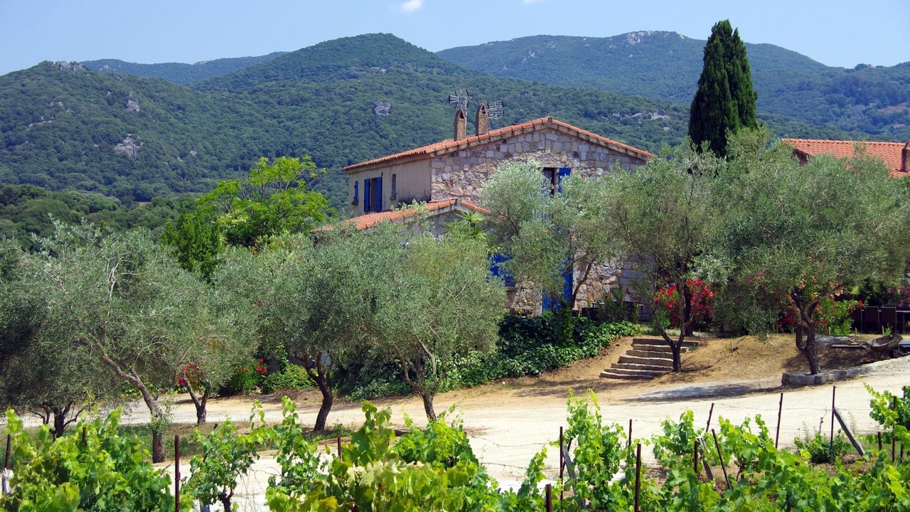 Photo of Outdoor in Sartene