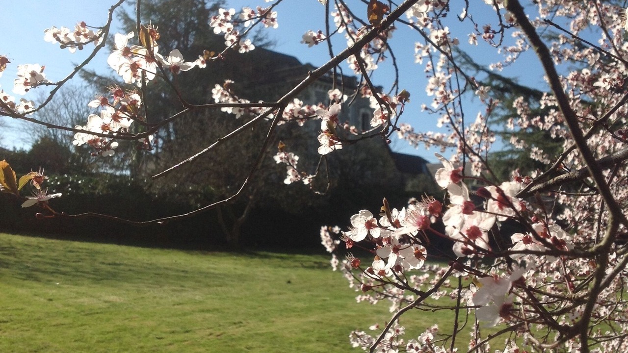 Photo of Outdoor in Bazoges-en-Pareds