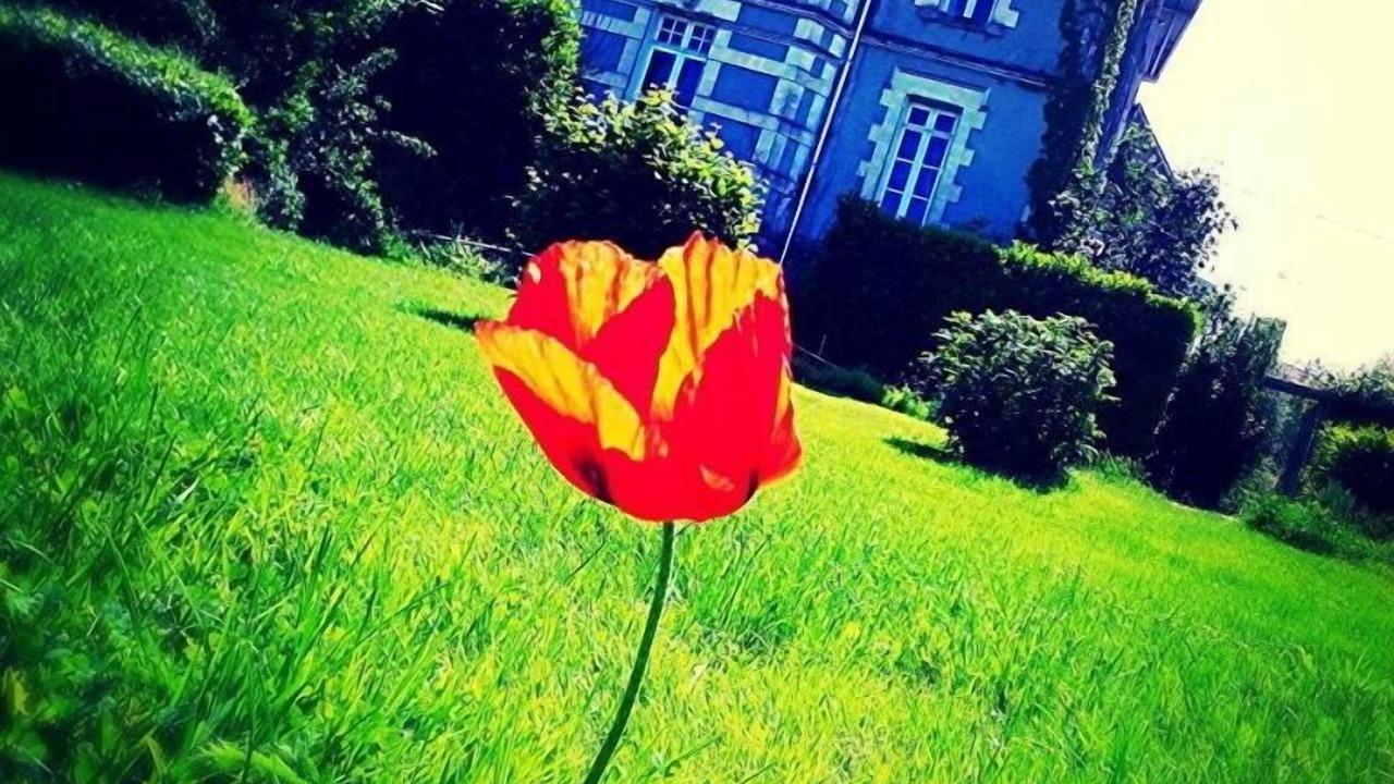 Photo of Outdoor in Bazoges-en-Pareds