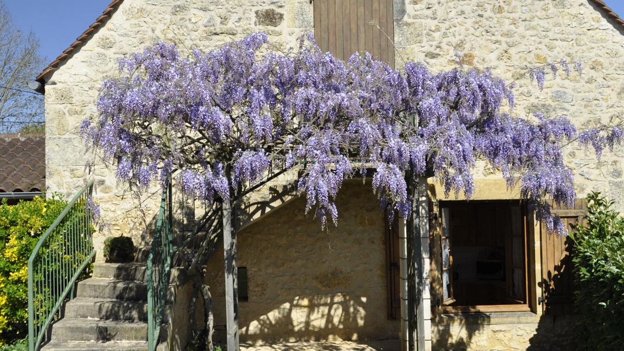 Photo of Outdoor in Daglan