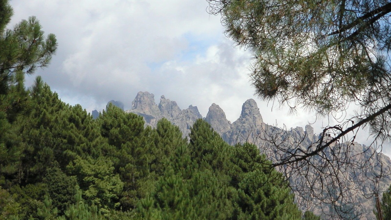 Photo of Outdoor in Sartene