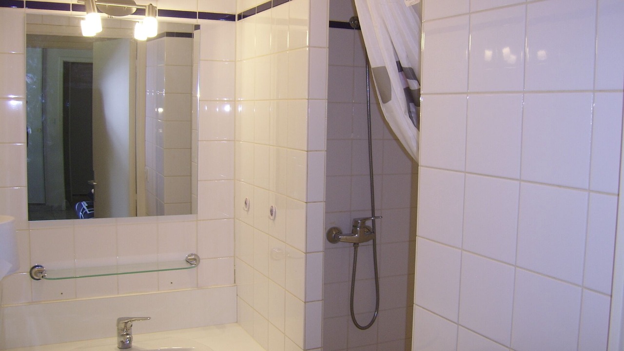 Photo of Bathroom in Le Rosais-La Flourie