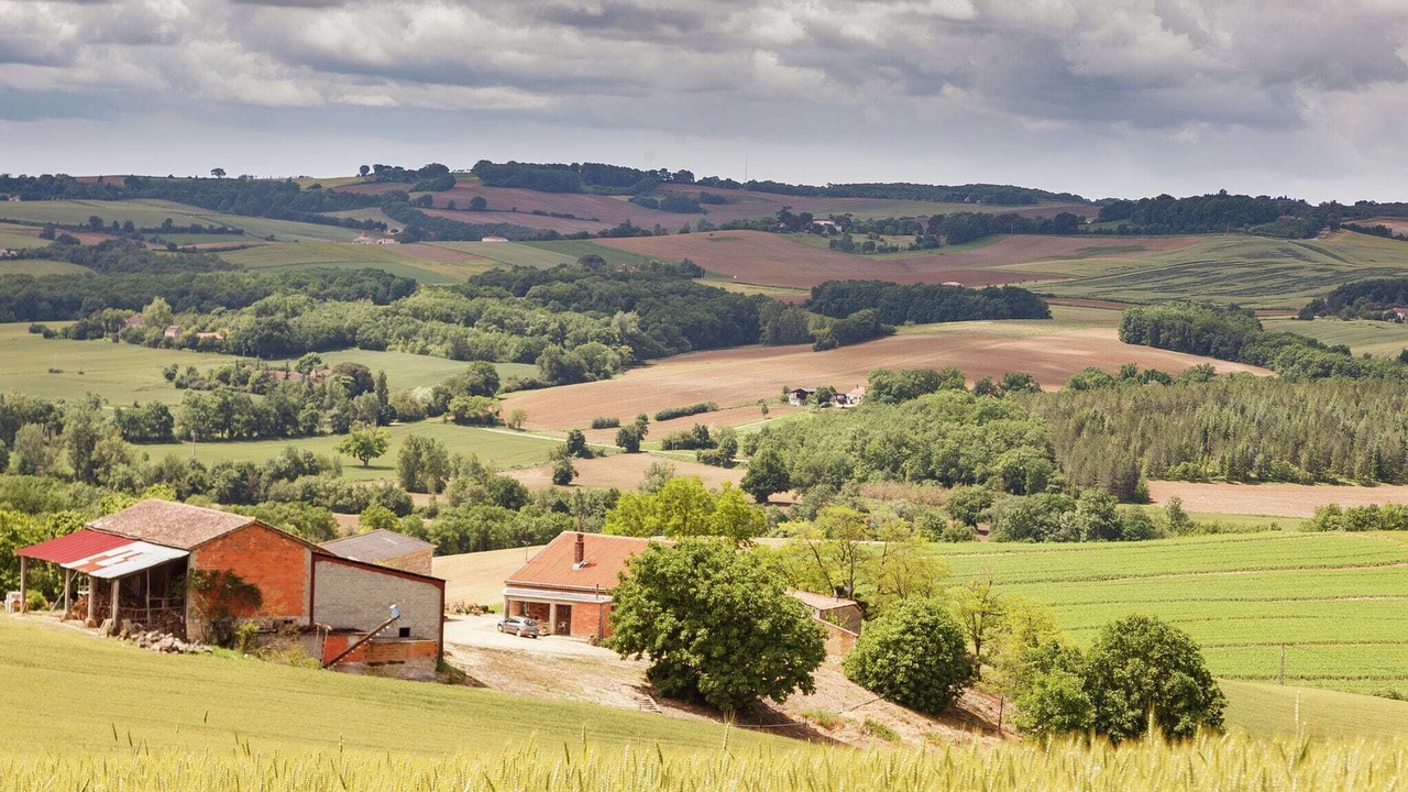 Photo of Others in Montcabrier