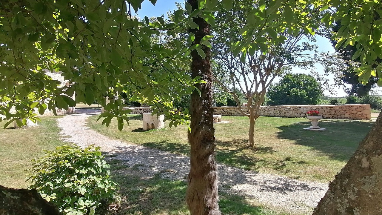 Photo of Outdoor in Guillac