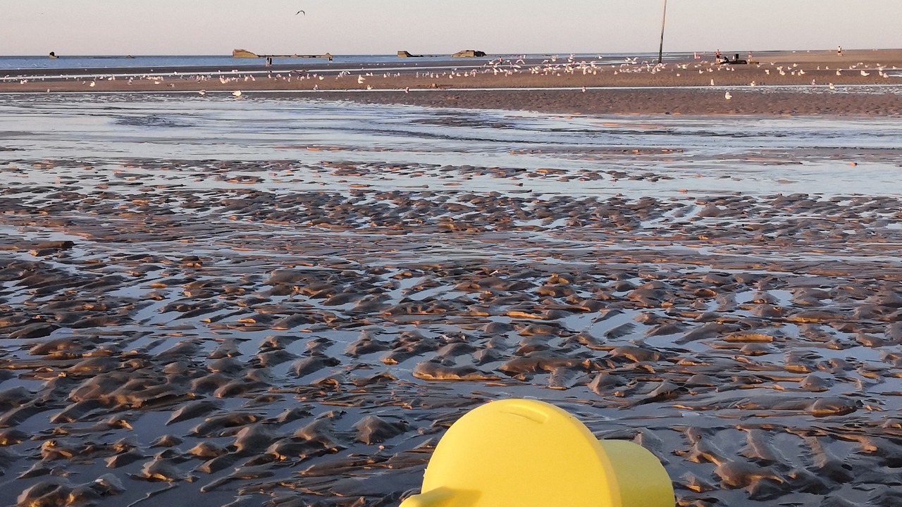 Photo of Others in Tracy-sur-Mer