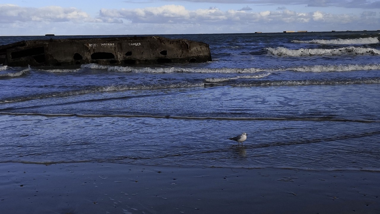Photo of Others in Tracy-sur-Mer