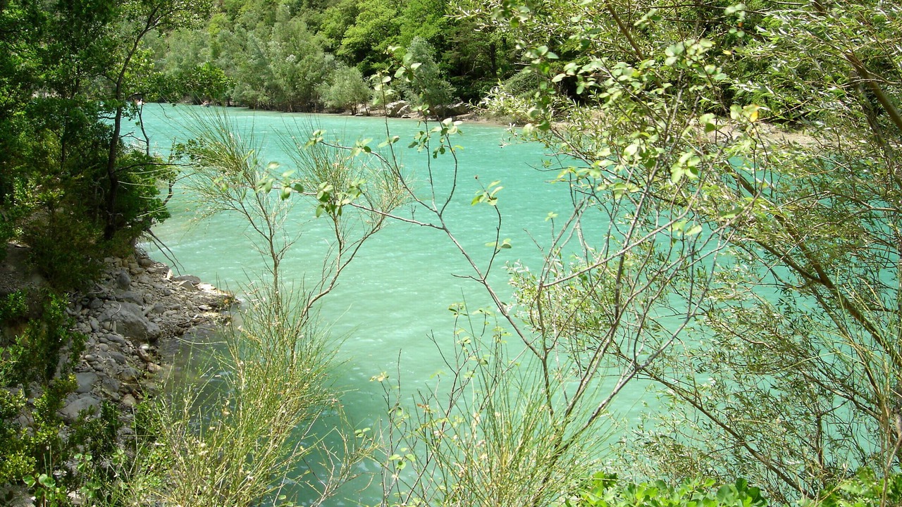 Photo of Others in Castellane