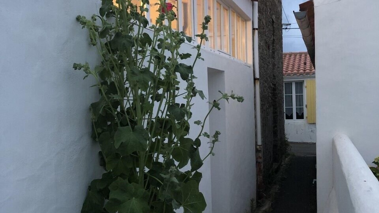 Photo of Outdoor in Ile d'Yeu
