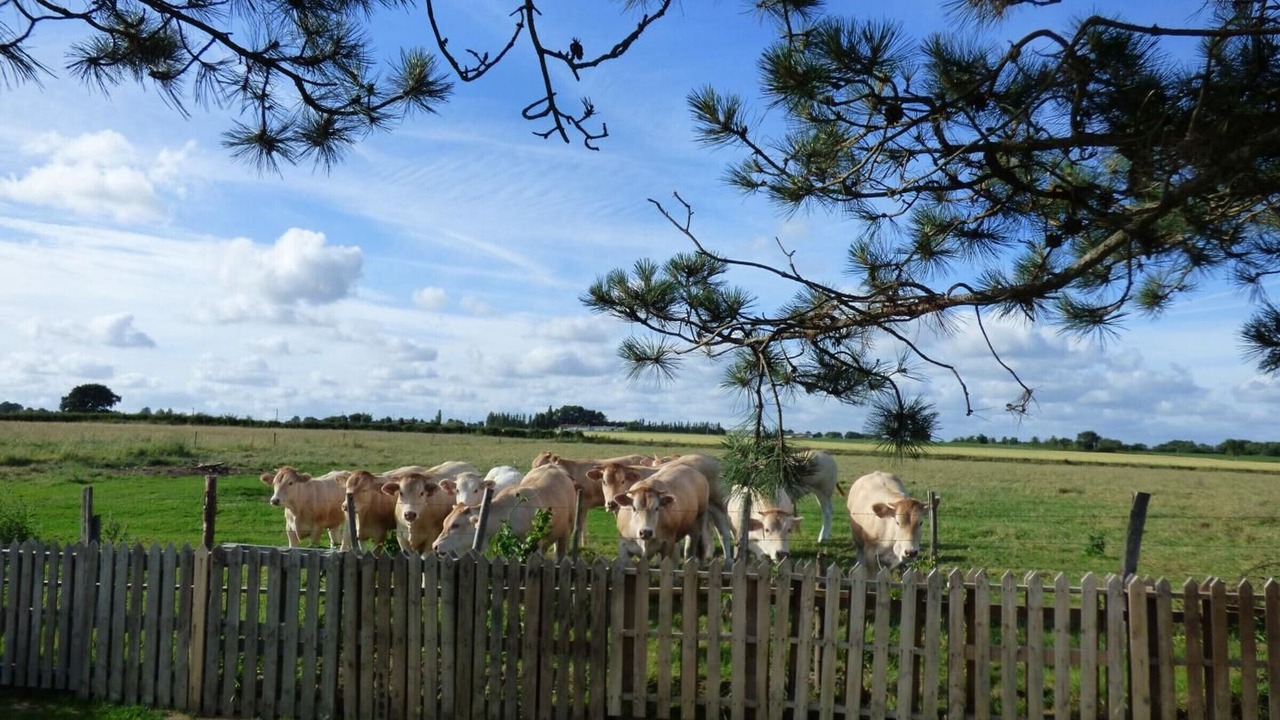 Photo of Outdoor in Le Bernard