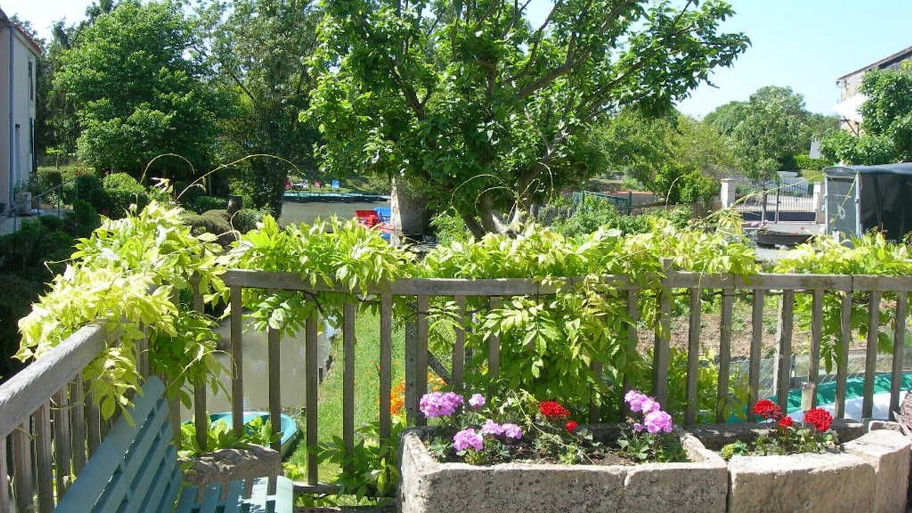 Photo of Outdoor in Damvix