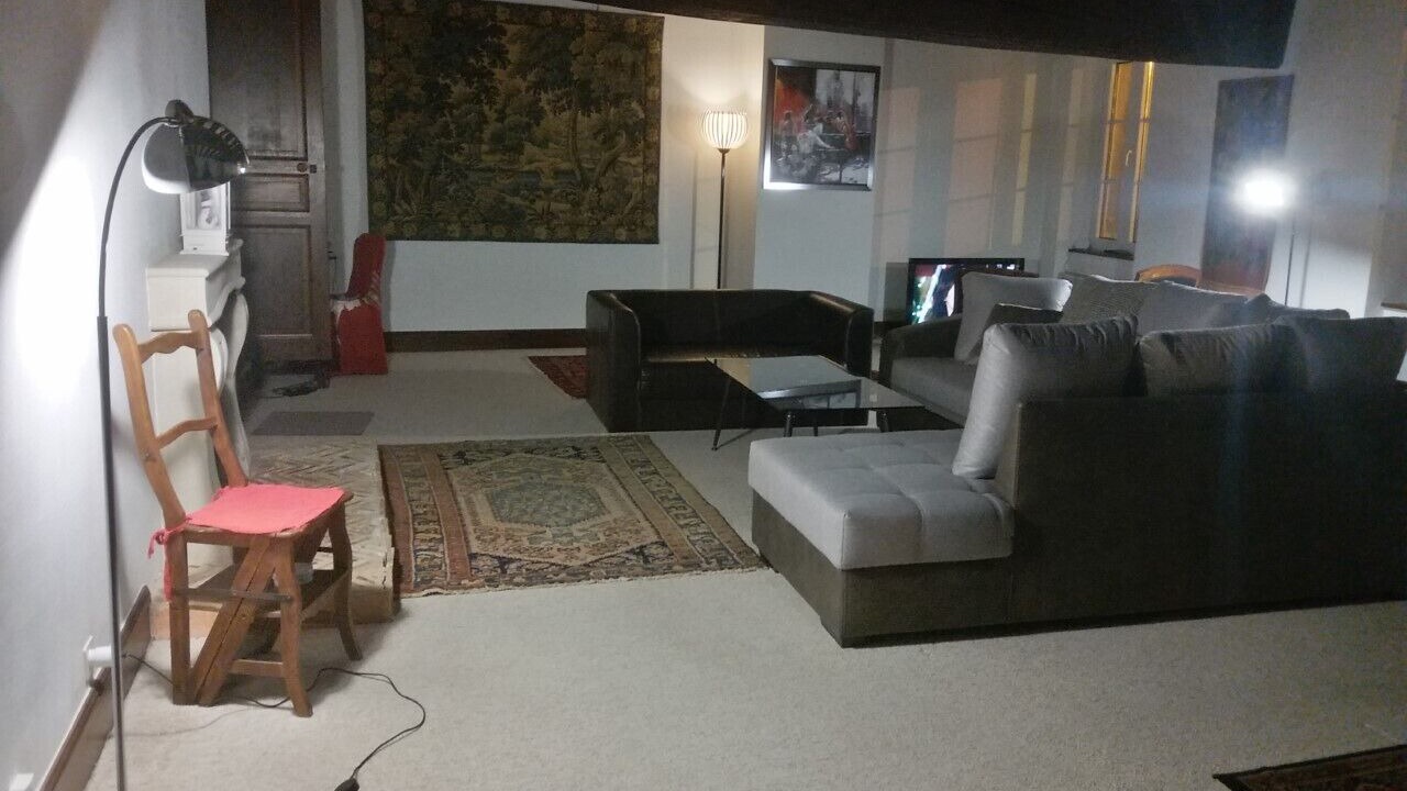 Photo of Livingroom in Downtown Angers