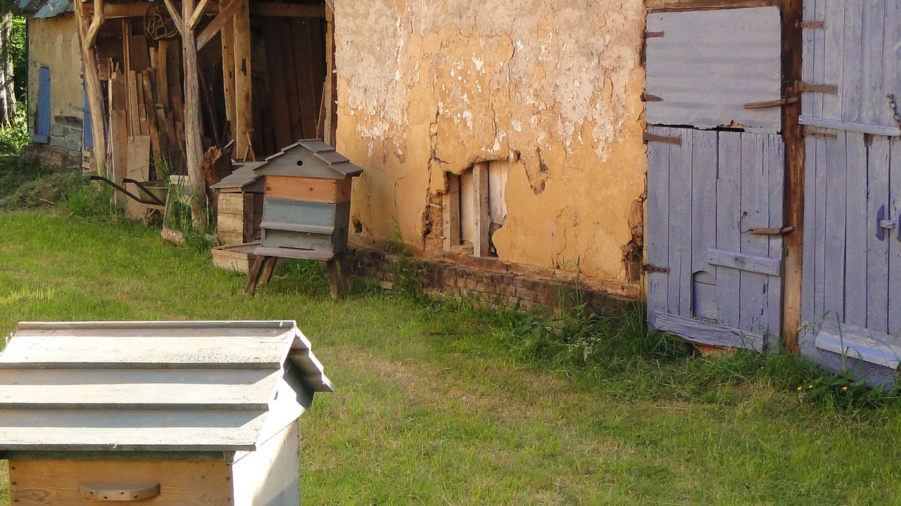 Photo of Outdoor in Doullens