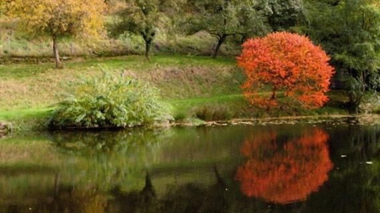 Photo of Outdoor in Munster